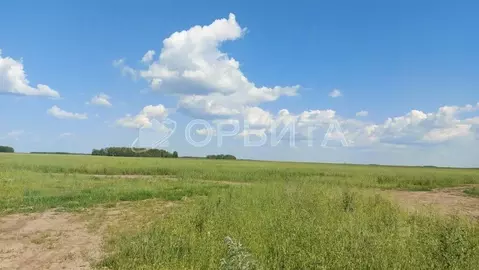 Участок в Тюменская область, Тюменский муниципальный округ, с. Каменка ...
