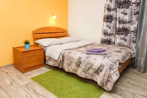 1-к кв. Свердловская область, Екатеринбург пер. Красный, 4А (30.0 м)