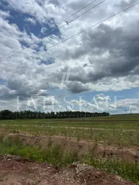 Участок в Татарстан, Пестречинский район, с. Шали  (479.0 сот.)