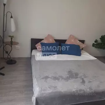 1-к кв. Челябинская область, Миасс ул. Попова, 6 (42.0 м)