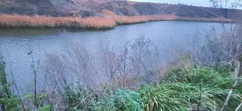 Участок в Татарстан, Алексеевский район, Лебяжинское с/пос, с. Саконы ...