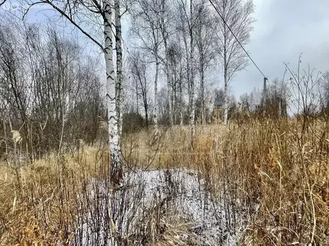 Участок в Тюменская область, Нижнетавдинский муниципальный округ, СНТ ...