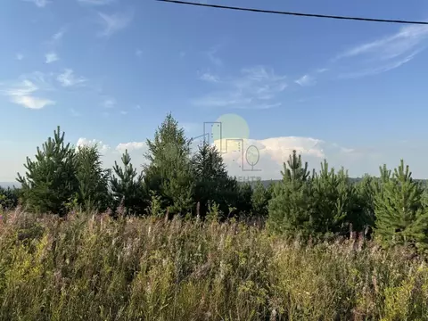 Участок в Иркутская область, Иркутский муниципальный округ, д. Карлук ...