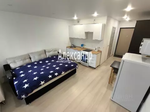 Студия Ленинградская область, Ломоносовский район, Виллозское ...