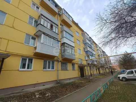 2-к кв. Курганская область, Шадринск ул. Архангельского, 44 (44.2 м)