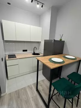 Студия Москва просп. Прокшинский, 5 (25.0 м)