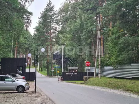 Участок в Новосибирская область, Новосибирск Европейский кп,  (10.0 ...