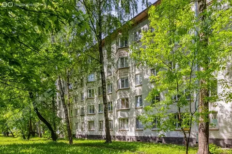 2-комнатная квартира: Красное Село, проспект Ленина, 63к2 (50.3 м)