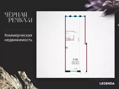 Помещение свободного назначения в Санкт-Петербург наб. Черной речки, ...