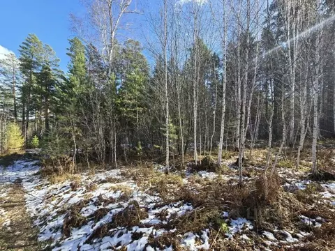 Участок в Иркутская область, Иркутский муниципальный округ, д. ...