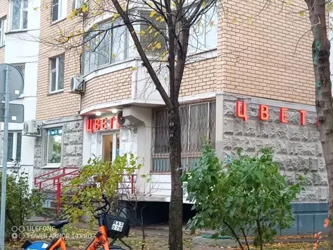 Торговая площадь в Москва Дубнинская ул., 37К1 (33 м)