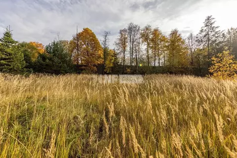 Участок в Московская область, Одинцовский городской округ, Мэдисон ...