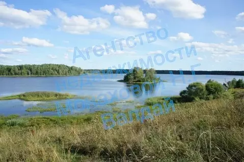 Участок в Новгородская область, Валдайский район, д. Плав  (200.0 ...