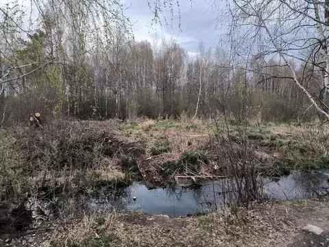 Участок в Тюменская область, Тюменский район, Рассвет-1 СНТ ул. ...