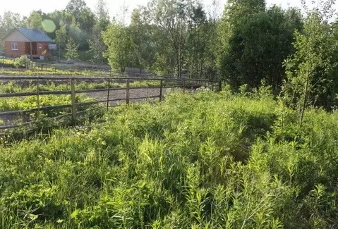 Участок в Архангельская область, Приморский муниципальный округ, ...