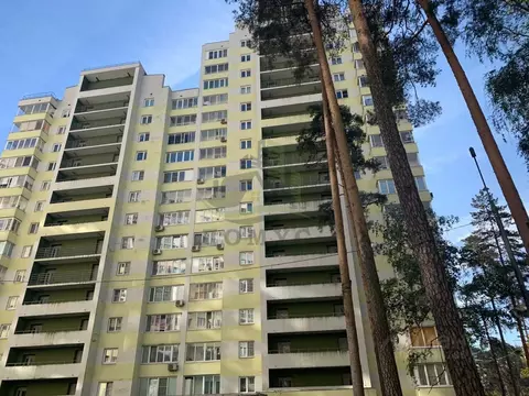 Студия Московская область, Раменское Высоковольтная ул., 20 (30.8 м)