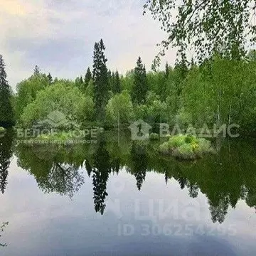 Участок в Архангельская область, Приморский муниципальный округ, Ильма ...