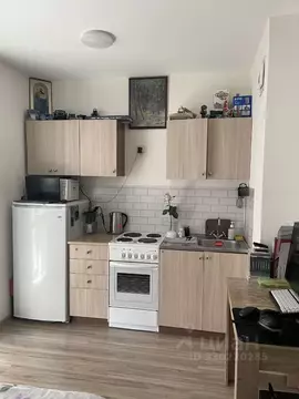 Студия Санкт-Петербург пос. Парголово, Заречная ул., 38к2 (19.1 м)