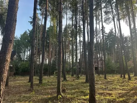 Участок в Московская область, Химки Новогорск-7 кп,  (8.0 сот.)