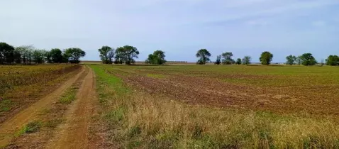 Участок в Крым, Сакский район, Добрушинское с/пос, с. Елизаветово  ...