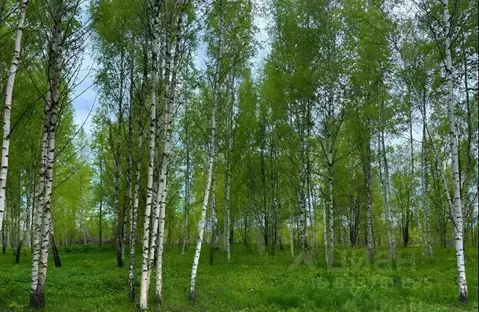 Участок в Московская область, Дмитровский муниципальный округ, д. ...