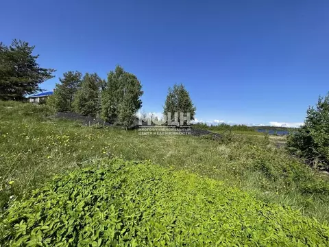 Участок в Карелия, Медвежьегорский муниципальный округ, д. Толвуя ул. ...