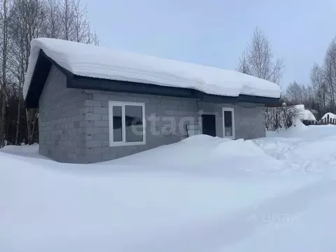 Дом в Пермский край, Пермь Судоремонтная ул., 41А (80 м)