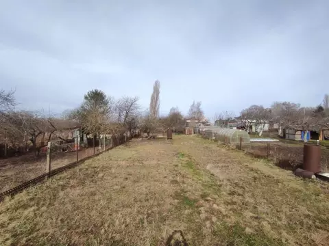 Участок в Калининградская область, Янтарный пгт, Садовник СНТ ул. ...