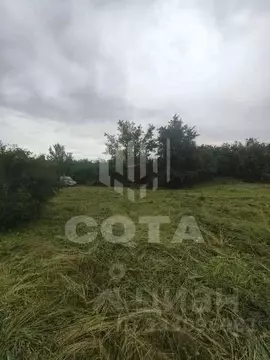 Участок в Воронежская область, Семилукское с/пос, с. Ендовище ул. ...