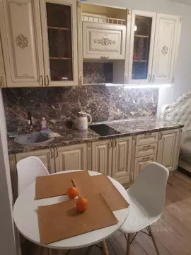 Студия Краснодарский край, Краснодар ул. Ивана Беличенко, 103 (22.8 м)