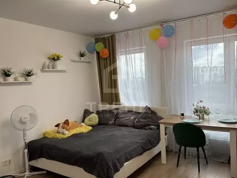 Студия Ленинградская область, Всеволожский район, д. Новое Девяткино ...