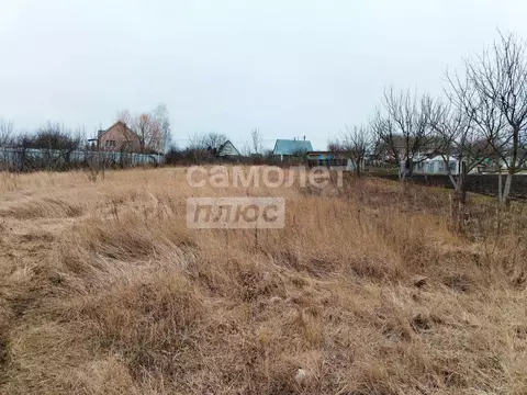 Участок в Воронежская область, Рамонский район, Скляевское с/пос, д. ...