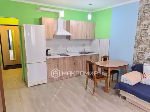 Студия Московская область, Домодедово Южный мкр, ул. Курыжова, 32 ...