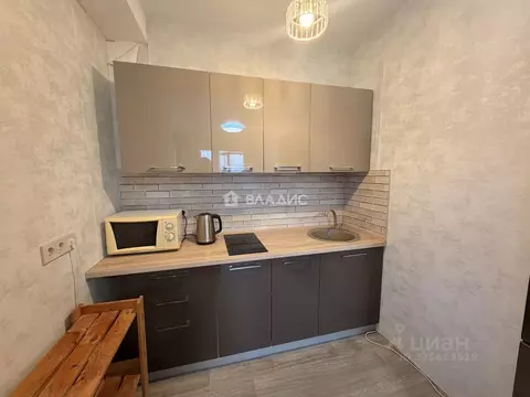 Студия Московская область, Богородский городской округ, с. Бисерово, ...