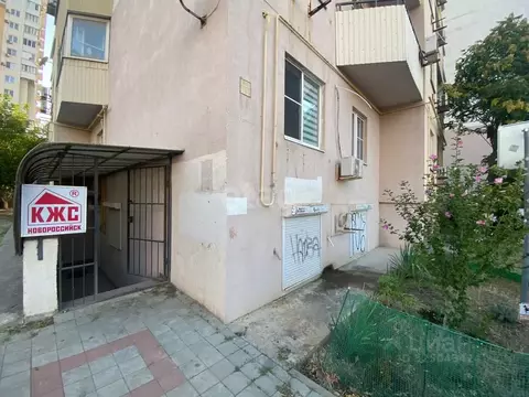 Офис в Краснодарский край, Новороссийск просп. Дзержинского, 234 (160 ...