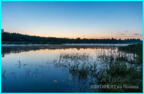 Участок в Ярославская область, Мышкинский муниципальный округ, д. ...