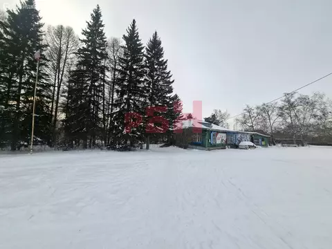 Помещение свободного назначения (53 м)