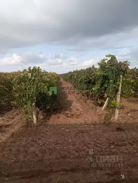 Производственное помещение в Крым, Ленинский район, с. Красногорка ул. ...