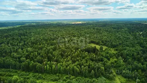 Участок в Томская область, Томский район, д. Воронино ул. ...