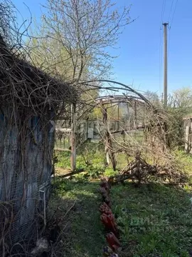 Участок в Брянская область, Брянск Родина садоводческое объединение,  ...