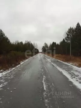 Участок в Свердловская область, Талица ул. Луначарского (12.06 сот.)