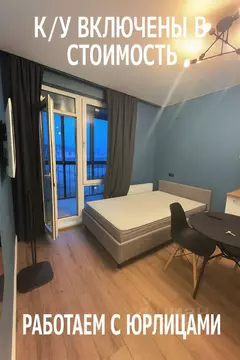 Студия Московская область, Ленинский городской округ, д. Жабкино, ...