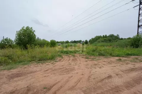 Участок в Пермский край, Добрянский муниципальный округ, д. Залесная  ...