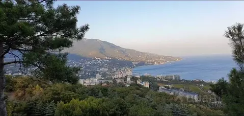 Участок в Крым, Ялта городской округ, Виноградное пгт ул. Курчатова, ...