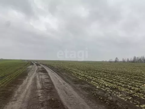 Участок в Брянская область, Брянский район, Новосельское с/пос, д. ...