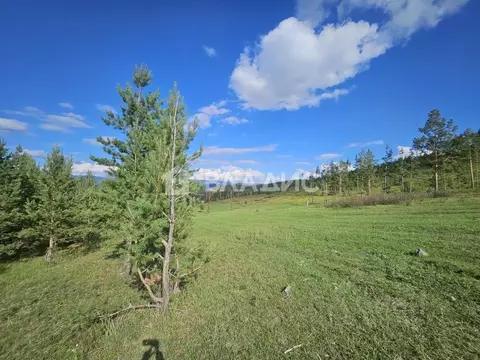 Участок в Бурятия, Иволгинский район, Сотниковское с/пос, с. ...