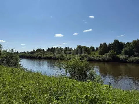 Участок в Костромская область, Костромской район, Сандогорское с/пос, ...