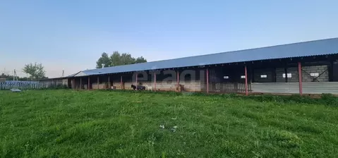 Помещение свободного назначения в Калужская область, пос. Бабынино ул. ...