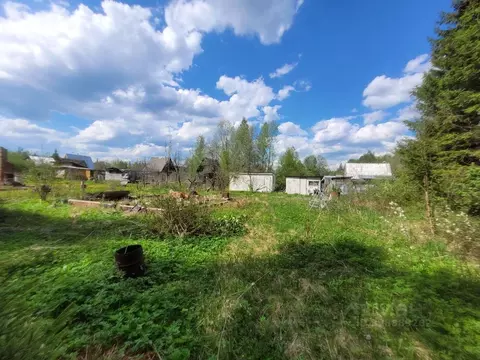 Участок в Ленинградская область, Лужский район, Мшинское с/пос, ...