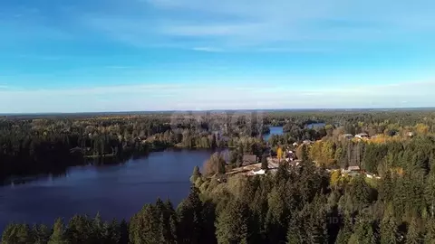 Участок в Ленинградская область, Выборгский район, Рощинское городское ...